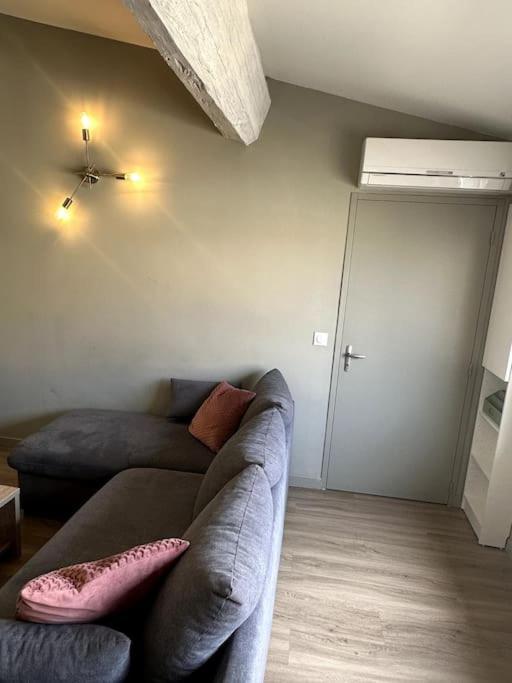 Entre Vignes Et Mer, Avec Wifi, Clim Et Netflix Apartment Mireval