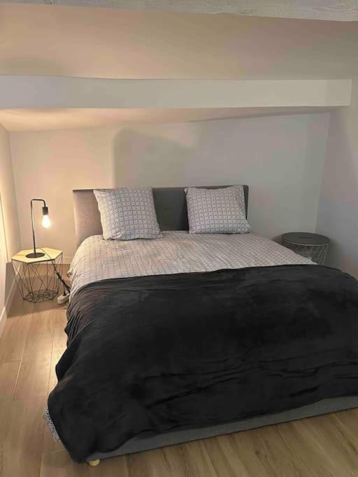 Apartment Entre Vignes Et Mer, Avec Wifi, Clim Et Netflix Mireval